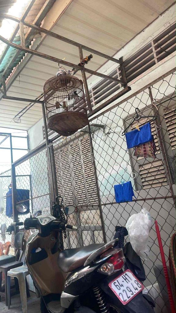 Chim Chích choè than Hót hay. Mua bán Chim tại Quận Ninh Kiều Cần Thơ được đăng bởi Kim Ngọc Hậu hình 1