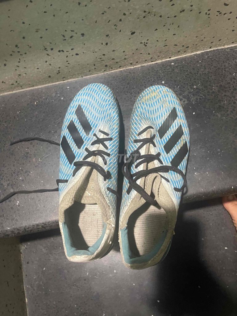 Giày đá bóng Adidas 19.1 Nam size 43 Xanh đen