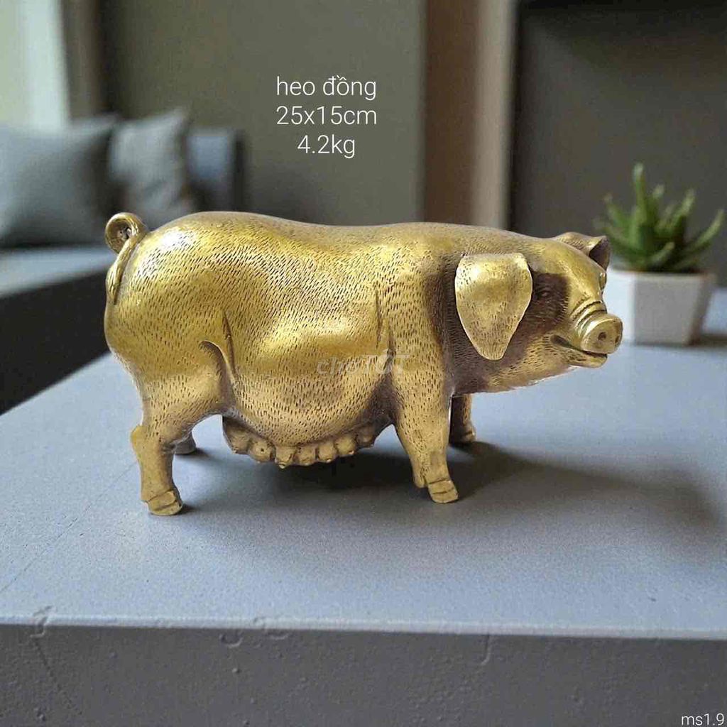 Tượng phong thủy Heo Đồng Vàng ánh. Mua bán Đồ sưu tầm, đồ cổ tại Thành phố Rạch Giá Kiên Giang được đăng bởi Đức Bảo Trần hình 1