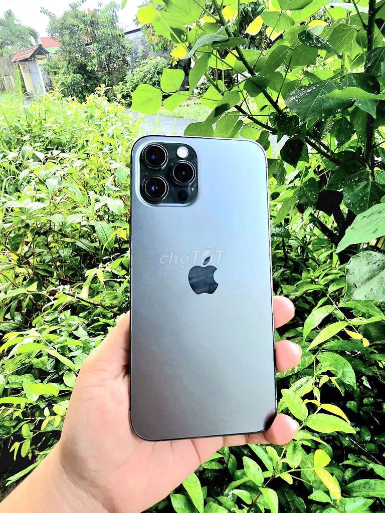 Apple iPhone 12 Pro Max 256GB. Mua bán Điện thoại tại Thành phố Cà Mau Cà Mau được đăng bởi Nguyễn An hình 1