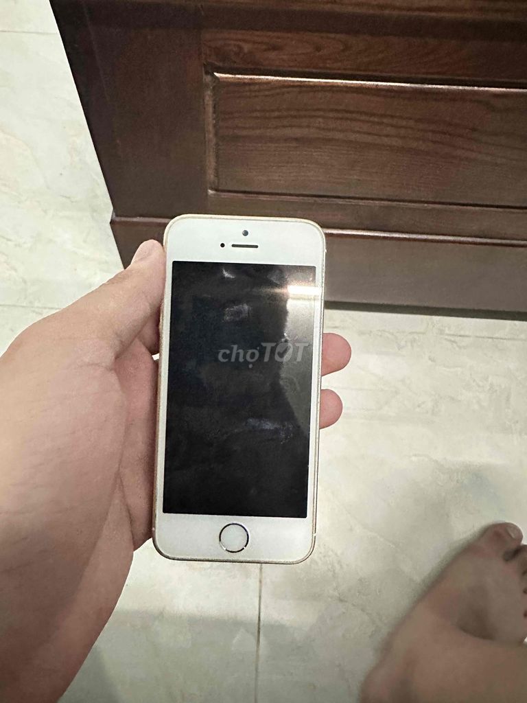 iPhone 5SE 16GB Vàng, Máy Phụ Hoàn Hảo. Mua bán Điện thoại tại Thành phố Dĩ An Bình Dương được đăng bởi Việt Nguyễn Store hình 1