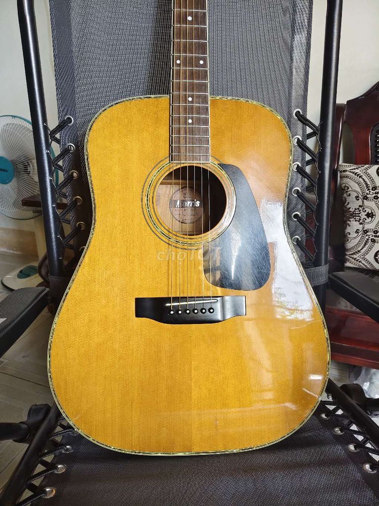 Bán guitar acoustic cao cấp Morris MD-515