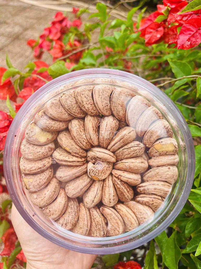 Hạt điều rang muối loại A cồ Bình Phước. Mua bán Đồ ăn, thực phẩm và các loại khác tại Quận Gò Vấp Tp Hồ Chí Minh được đăng bởi Trung Thông hình 4