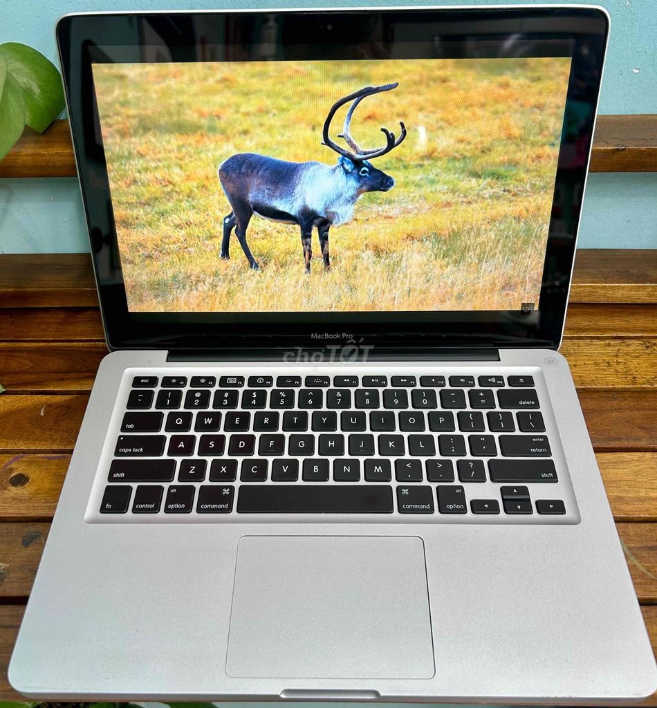 Apple MacBook Pro 13inch Late 2011. Mua bán Laptop tại Quận 7 Tp Hồ Chí Minh được đăng bởi Nguyễn Thịnh hình 1