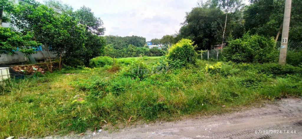 Bán Lô Đất  Sau KCN Long Đức,H. Long Thành, 3500m2, Giá 5Ty8 TL. Mua bán đất tại Huyện Long Thành Đồng Nai được đăng bởi Trần Thái CTA hình 3