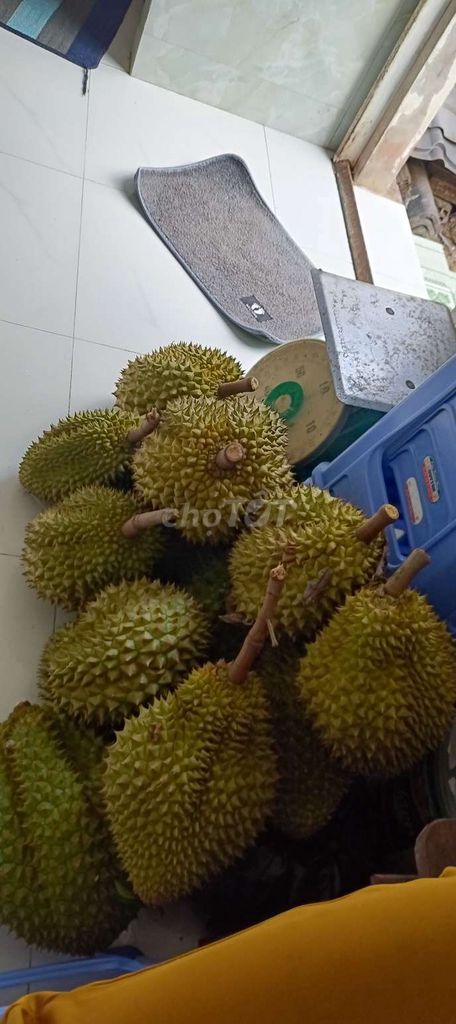 Sầu riêng. Mua bán Đồ ăn, thực phẩm và các loại khác tại Huyện Phong Điền Cần Thơ được đăng bởi An Thúy hình 1