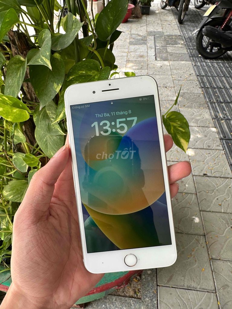 Apple iPhone 8 Plus Trắng. Mua bán Điện thoại tại Quận Ngũ Hành Sơn Đà Nẵng được đăng bởi Trieu Le hình 1