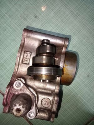 lòng zin cam zin 135. Mua bán Phụ tùng xe tại Thành phố Bến Tre Bến Tre được đăng bởi Pé Nguyên