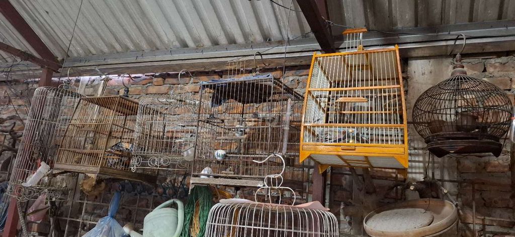 Lồng chim Gỗ Kim loại Đã sử dụng. Mua bán Phụ kiện, Thức ăn, Dịch vụ tại Quận Hà Đông Hà Nội được đăng bởi Nam hình 1
