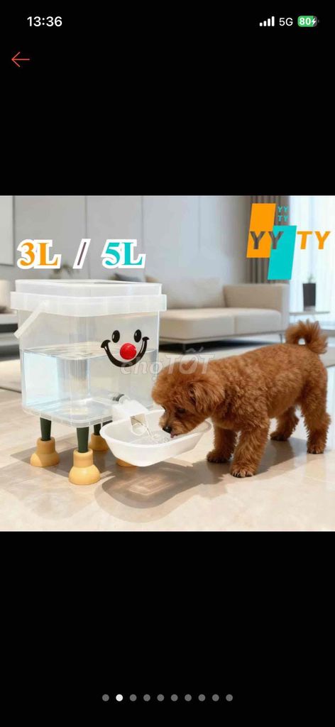 Bát uống nước tự động Chó 3L. Mua bán Phụ kiện, Thức ăn, Dịch vụ tại Quận Tân Phú Tp Hồ Chí Minh được đăng bởi KAnh hình 1