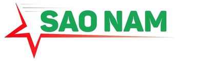 CÔNG TY TNHH TMDV TỔNG HỢP SAO NAM logo
