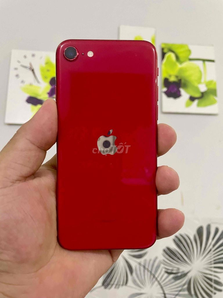 iPhone Se 2020 Quốc tế 128gb Zin Full CN. Mua bán Điện thoại tại Thành phố Thủ Dầu Một Bình Dương được đăng bởi Đăng Store hình 1