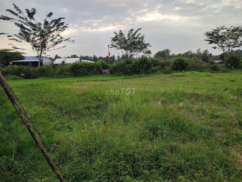 BÁN ĐẤT GIÁ RẺ 2 MT ĐƯỜNG ĐH 48,BÌNH NINH,TAM BÌNH, VĨNH LONG, 1.1 TỶ