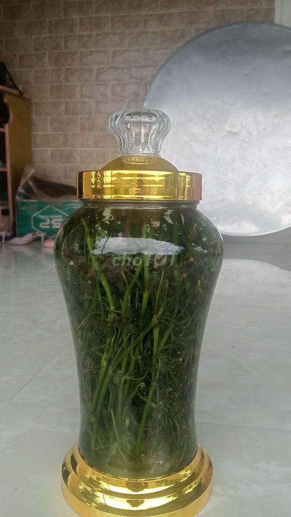 Bình ngâm Thủy tinh 3 lít. Mua bán Đồ ăn, thực phẩm và các loại khác tại undefined Bà Rịa - Vũng Tàu được đăng bởi Dinh Long hình 1
