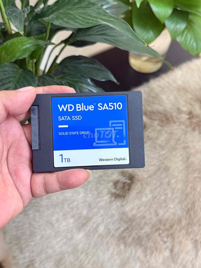 Ổ cứng SSD Western Digital WD Blue SA510 1TB 10h. Mua bán Linh kiện (RAM, Card...) tại Quận 5 Tp Hồ Chí Minh được đăng bởi PT Store Q5 HCM hình 1