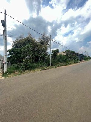 Đất mặt tiền đường Lê Lai xã Di Linh