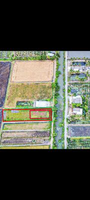1907m2 CÓ 300m2 THỔ CƯ ,VIEW SÔNG MÁT MẼ. Mua bán đất tại Huyện Thủ Thừa Long An được đăng bởi Lúa Miền Tây