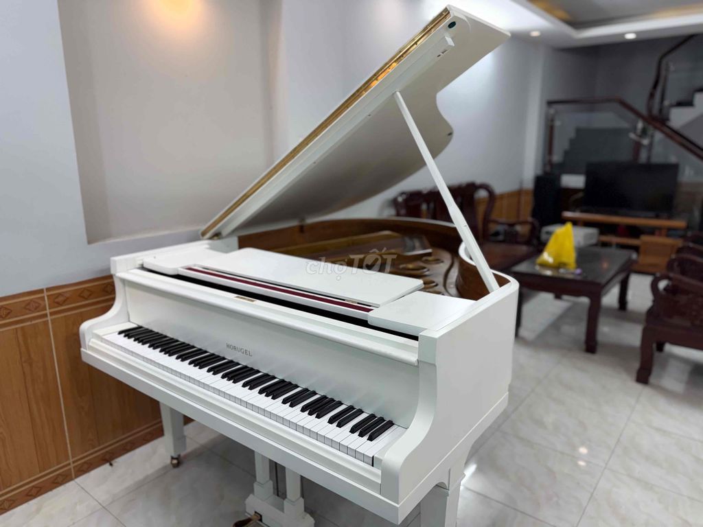 Grand Piano Horugel trắng giá tốt nhập Nhật