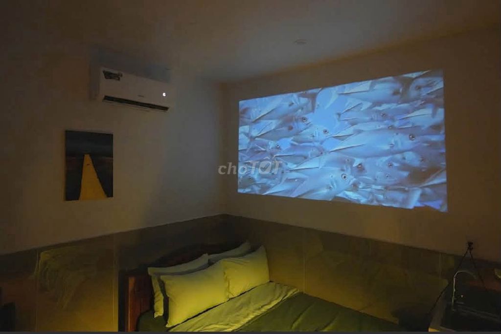 Premium studio 3 minutes from the Polytechnic University — photo 3