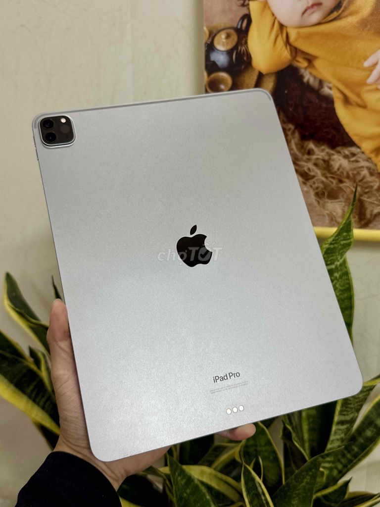 ipad pro 12.9" m2 gray 256 wifi pin 100 sạc ít