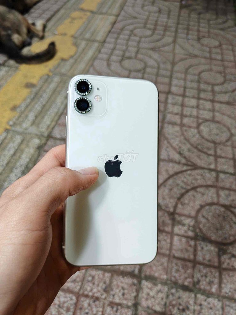 bán hoặc giao lưu Iphone 11 VN-Fullbox