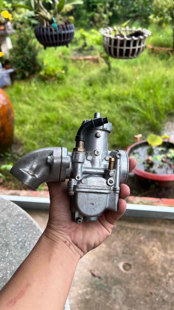 Bình Bông mai và pô e bông mai. Mua bán Phụ tùng xe tại Huyện Cai Lậy Tiền Giang được đăng bởi Thắng Nguyễn hình 1