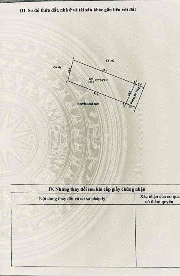 bá đất biệt thự siêu đẹp , hẻm 17 huỳnh văn luỹ