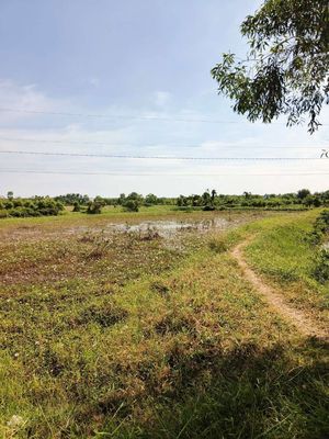 Cần bán đất mặt tiền xe tải ,gần biển. Mua bán đất tại Huyện Gò Công Đông Tiền Giang được đăng bởi Kim