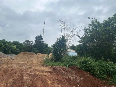 ĐẤT SỔ ĐỎ 43m ngang TẠI DI LINH – LÂM ĐỒNG 🌿. Mua bán đất tại Huyện Di Linh Lâm Đồng được đăng bởi Đỗ Thuỷ