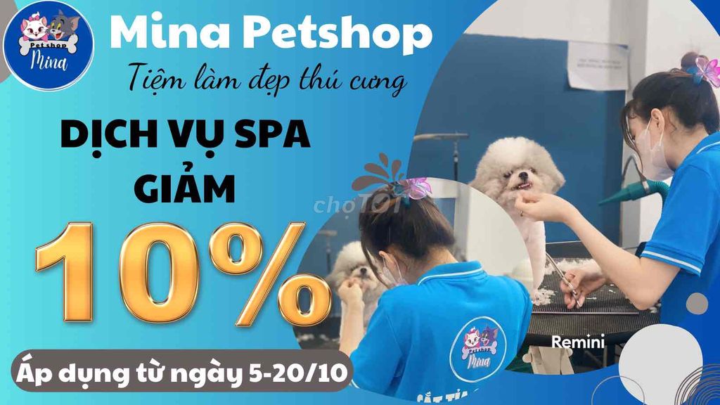 Spa làm đẹp thú cưng