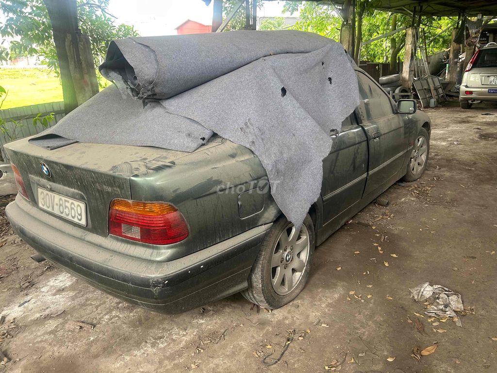 Ảnh số 5