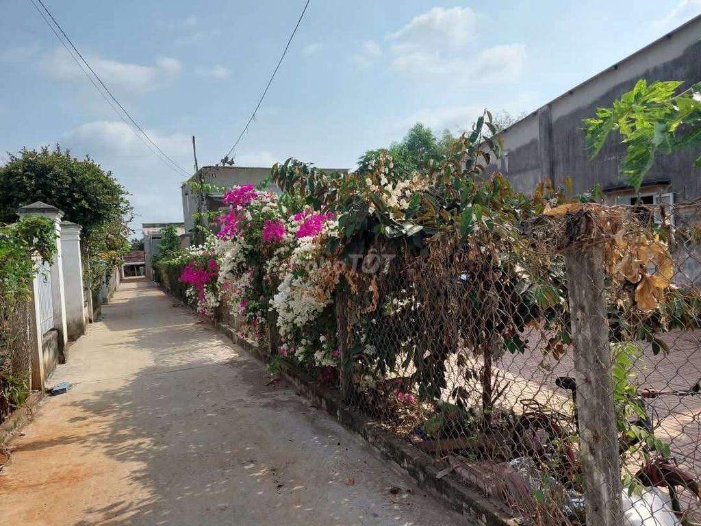Nha nguyen can cho thue. Cho thuê Nhà ở tại Huyện Xuyên Mộc Bà Rịa - Vũng Tàu được đăng bởi Long nguyen  hình 6