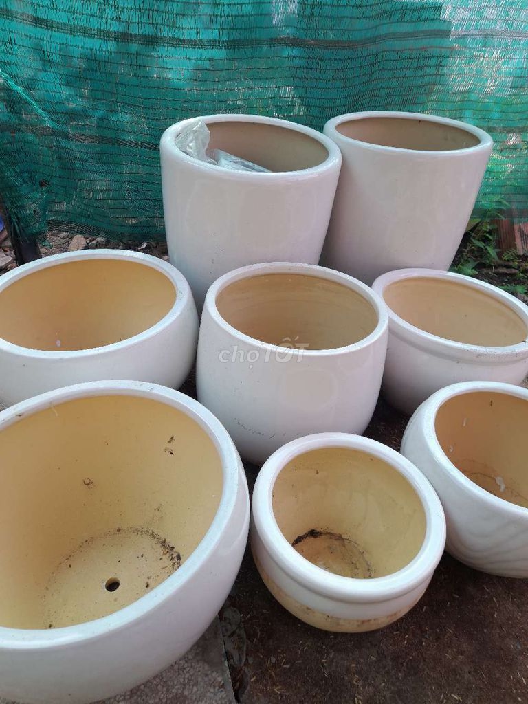 Minh có 8 cái chậu trồng cây cằn thanh lý