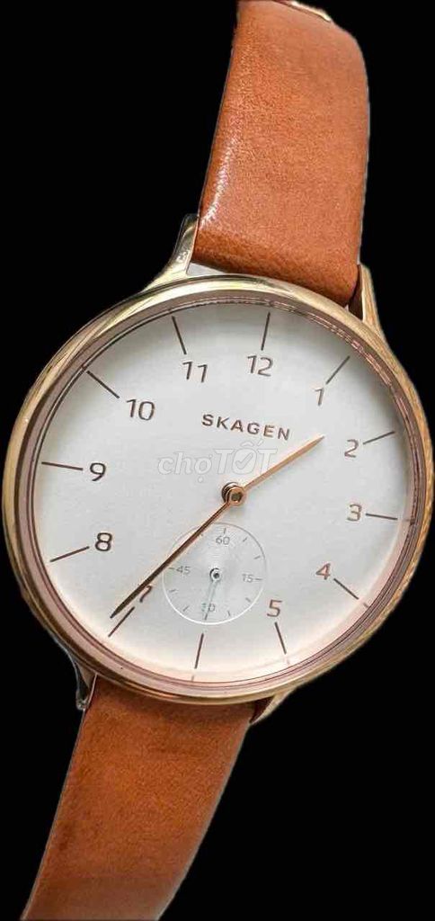 ĐỒNG HỒ SKAGEN THUỴ SĨ