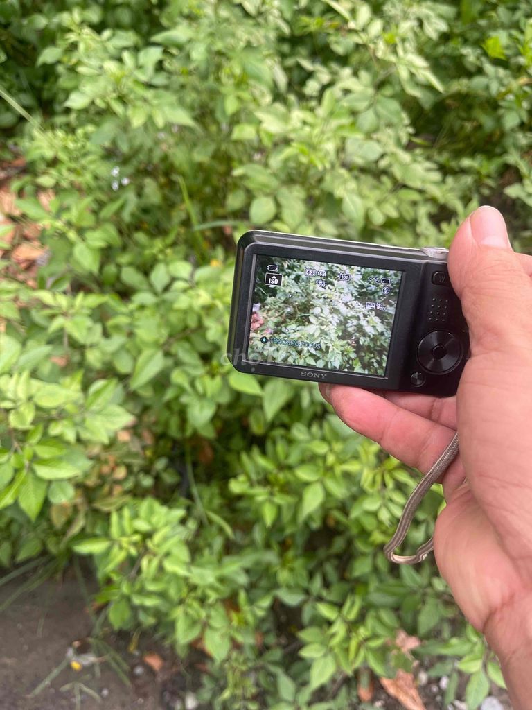 Máy ảnh Sony Cyber-shot W710 zin chụp tốt. Mua bán Máy ảnh, Máy quay tại Huyện Bình Chánh Tp Hồ Chí Minh được đăng bởi ĐỒ CỦ SÀI GÒN hình 1