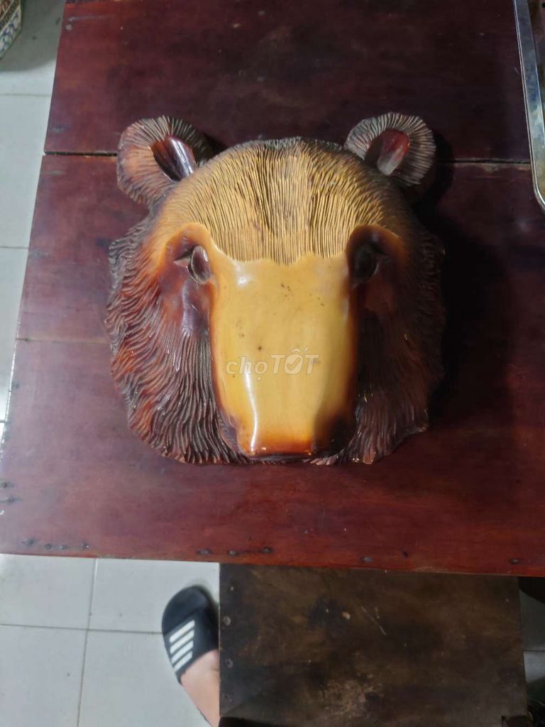 đầu gấu gỗ thịt cho ae trưng bày 