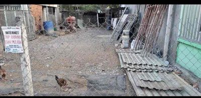 Bán nhà yến đang thu hoạch ở bình khánh, 308m2 giá tốt