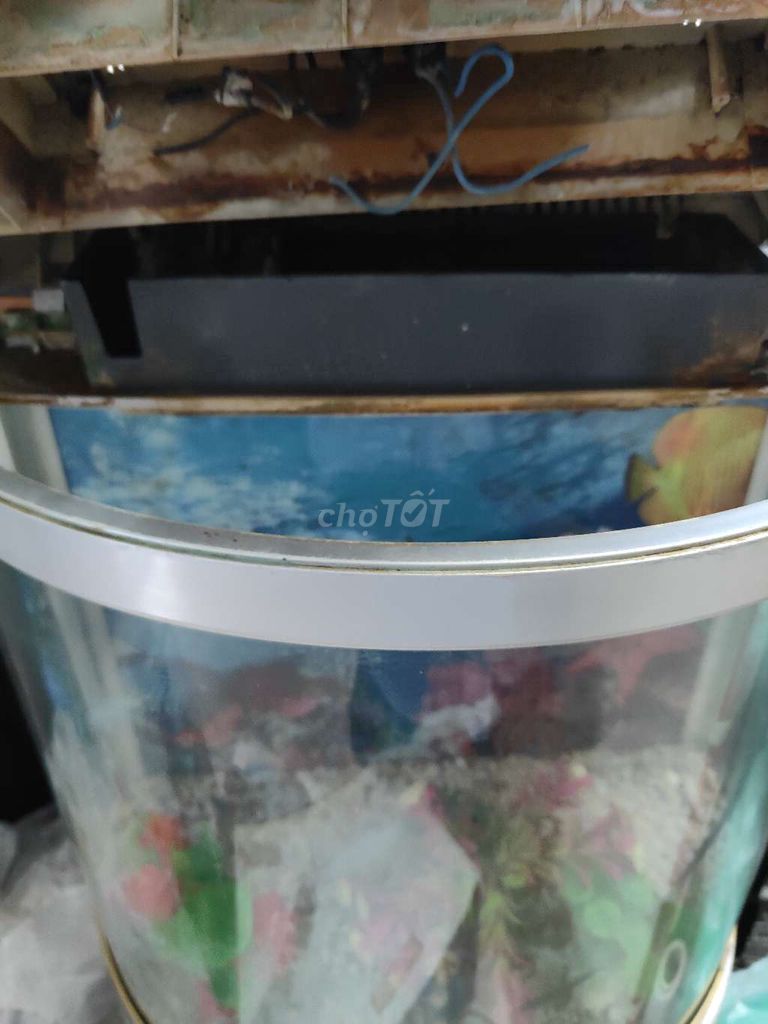Bể cá cảnh Kính Đơn giản. Mua bán Phụ kiện, Thức ăn, Dịch vụ tại Quận Long Biên Hà Nội được đăng bởi Hung hình 1