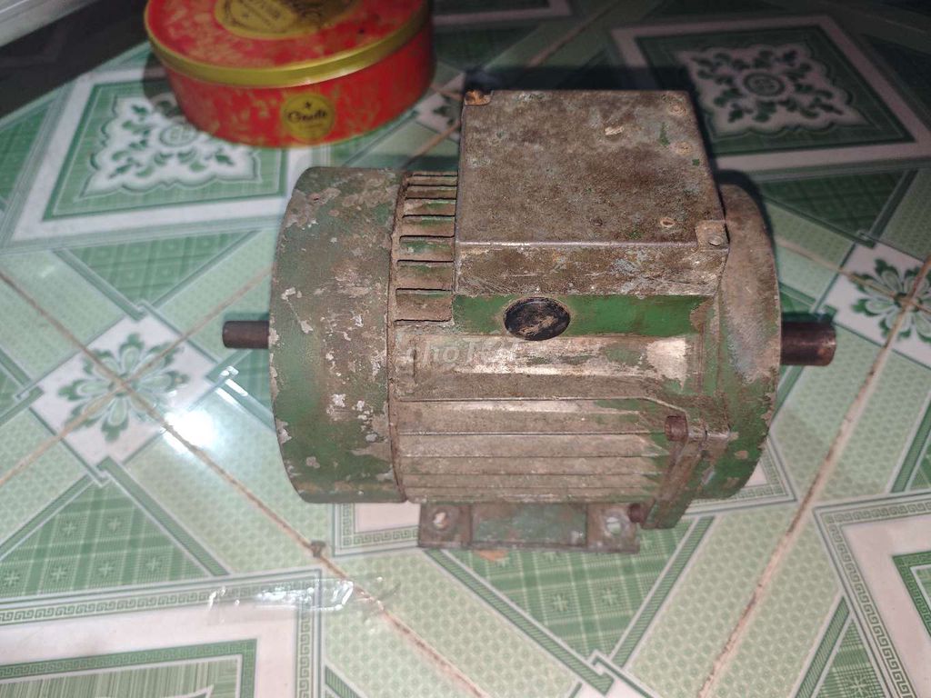 Động cơ điện, motor 3 pha 380V cốt 24mm. Mua bán Đồ chuyên dụng, Giống nuôi trồng tại Huyện Bến Cầu Tây Ninh được đăng bởi Lê Anh Sáng hình 1