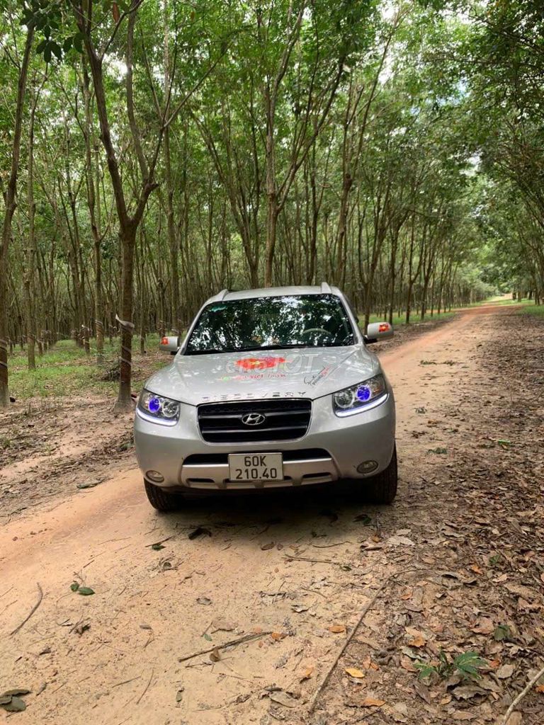 Ảnh số 2