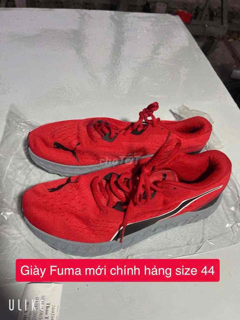 Giày thể thao Puma Đỏ size 44. Mua bán Giày dép tại Quận 12 Tp Hồ Chí Minh được đăng bởi HT 86 hình 1