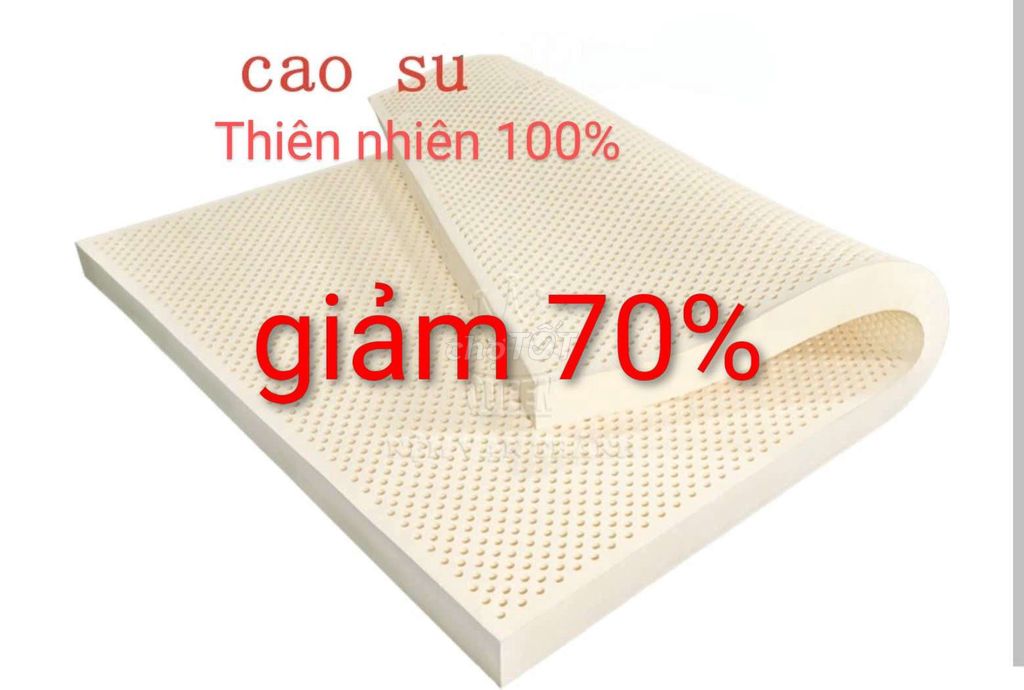 cao su thiên 100% giảm 70%,đạt chuẩn châu âu. Mua bán Giường, chăn ga gối nệm tại Huyện Củ Chi Tp Hồ Chí Minh được đăng bởi Nguyentien hình 1