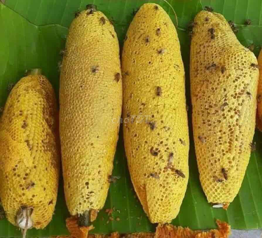 Mật ong ruồi thiên nhiên nguyên chất 100%. Mua bán Đồ ăn, thực phẩm và các loại khác tại Huyện Bắc Tân Uyên Bình Dương được đăng bởi Sang Chim Cảnh Bình Dương  hình 1