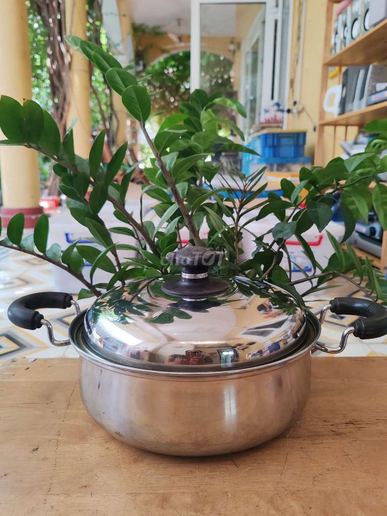 Nồi Inox Linea Monica 26cm Nhật Bản. Mua bán Dụng cụ nhà bếp tại Quận 7 Tp Hồ Chí Minh được đăng bởi Vy Vy hình 1