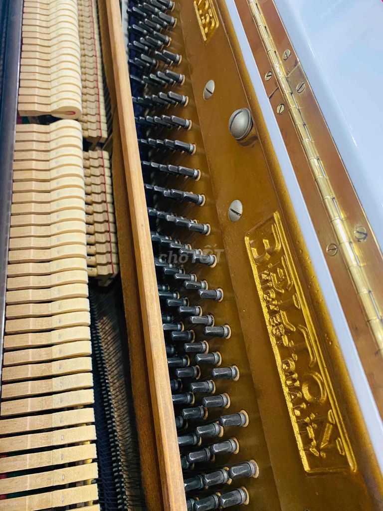 piano cơ BELLTON U3 nhật bản màu trắng 15tr hôm ni