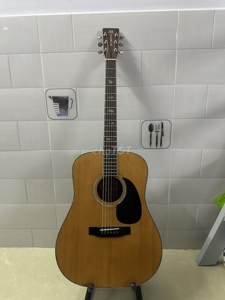 cần bán guitar morris w-40