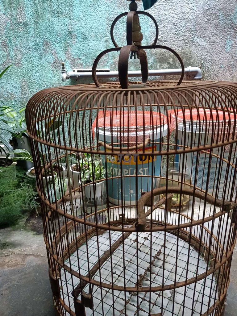 Lồng nuôi các loại chim. Mua bán Phụ kiện, Thức ăn, Dịch vụ tại Quận Cẩm Lệ Đà Nẵng được đăng bởi Nguyễn Thành Long hình 1