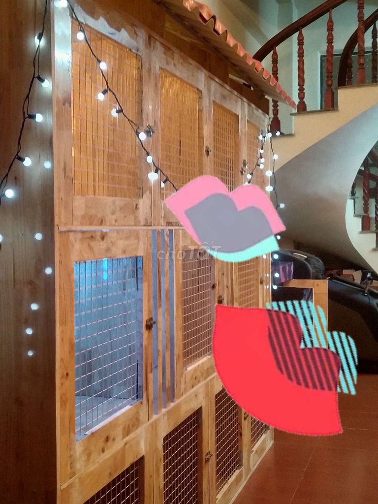 Cũi thú cưng Gỗ Mới nguyên có thể tách rời cần bán. Mua bán Phụ kiện, Thức ăn, Dịch vụ tại Quận 11 Tp Hồ Chí Minh được đăng bởi Sữa tươi hình 1