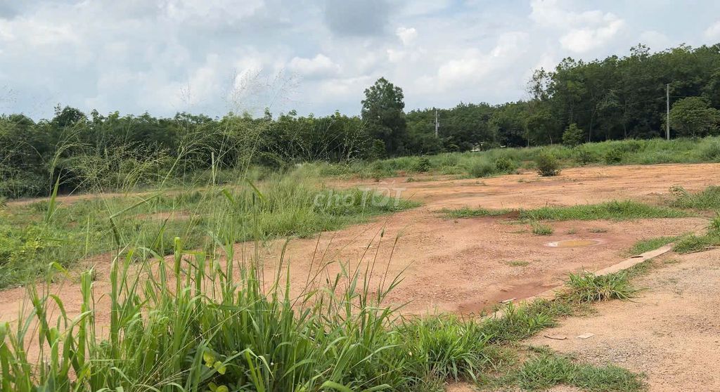 CẦN BÁN GẤP ĐẤT PHÚ GIAO - BÌNH DƯƠNG