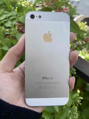 iPhone 5 chữa cháy nghe gọi lướt tiktok